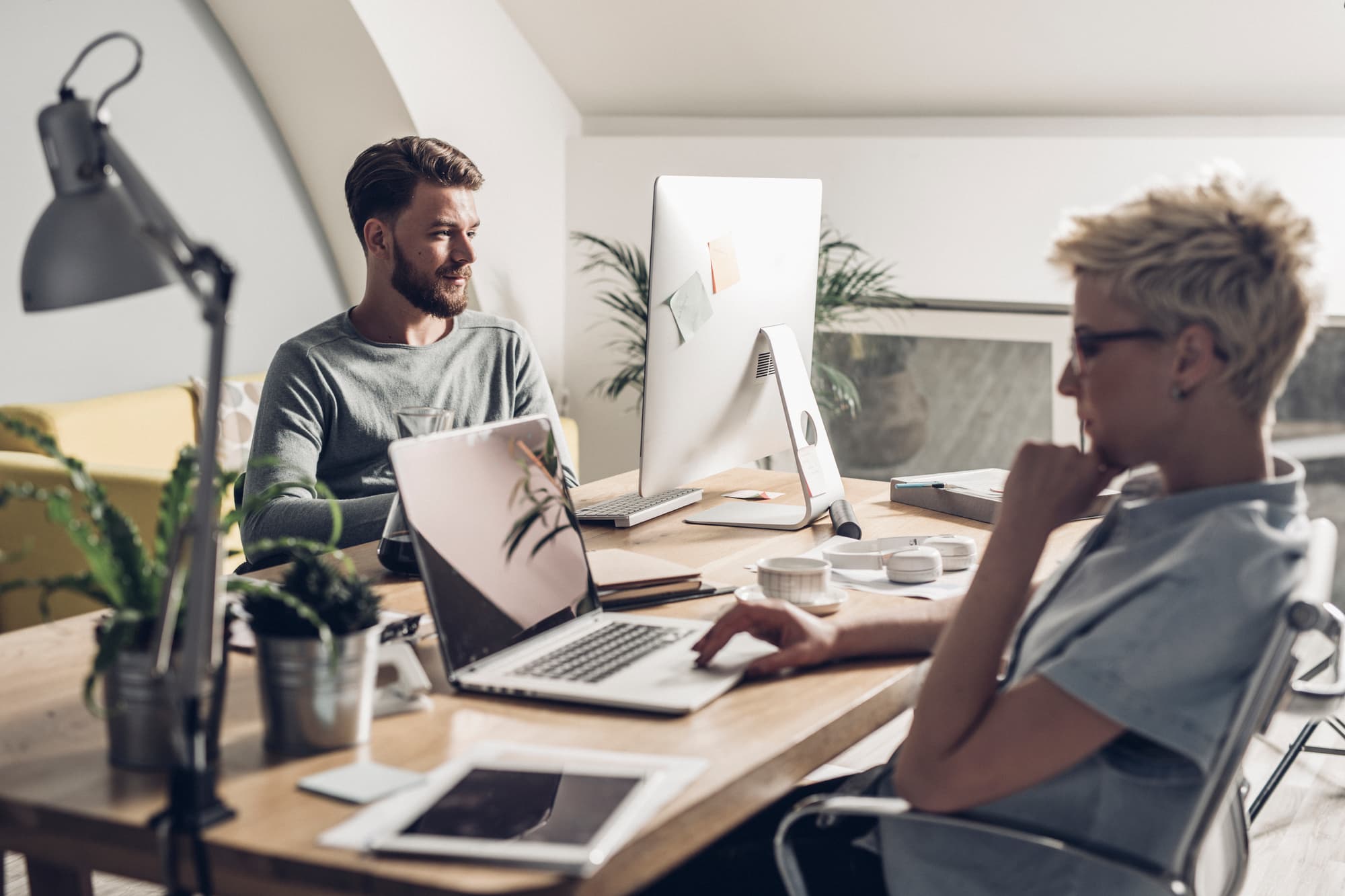 Image of NO LABEL Studios Limited Image of NO LABEL Studios Limited